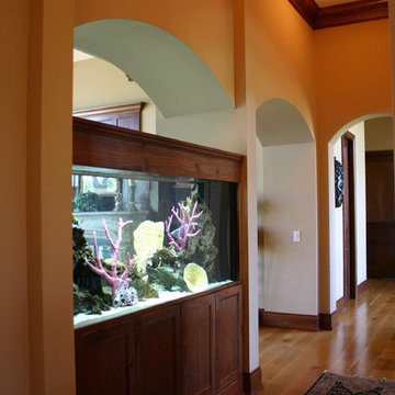 Built In Aquariums