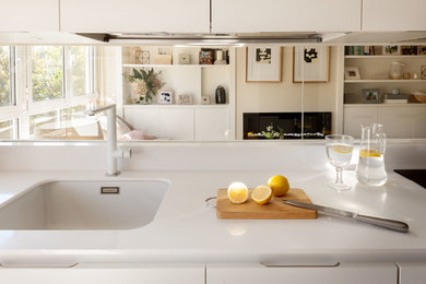 Kitchen - transitional kitchen idea in Madrid