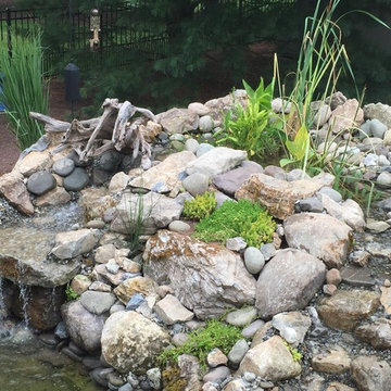 Close-up of the Bog and Spillways