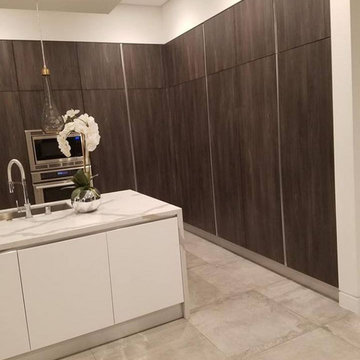 Contemporary Remodel