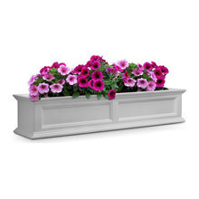 windowboxes