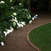 Exterior Ideas