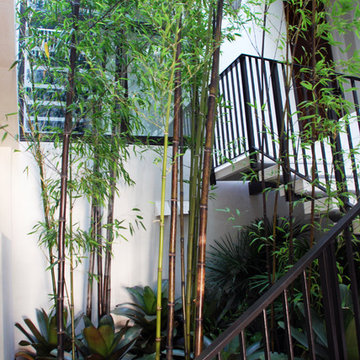 Penthouse