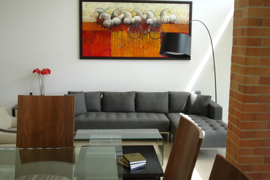 This is an example of a contemporary living room in Other.