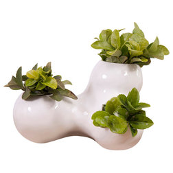 Contemporary Indoor Pots And Planters by Malaquita Design