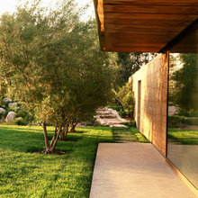 Garden/Landscape