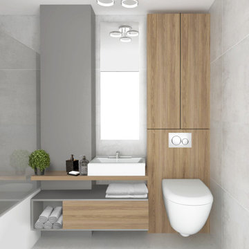 SMALL APARTMENT DESIGN