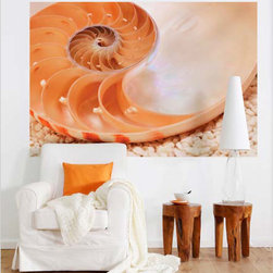National Geographic Murals - Wall Decals