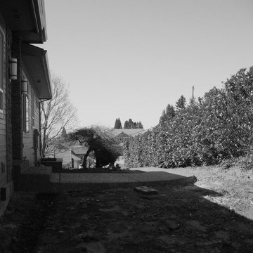 Columbia River View