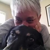 Kathy Wolfson's photo
