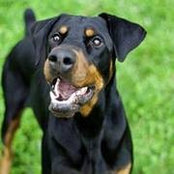 Alex Robins's photo