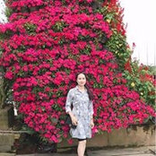 Chi Mi's photo
