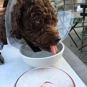 Charles Brownlips's photo