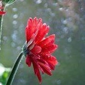 pawan Dyapa's photo
