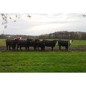 Charlotte Chapman's photo