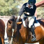 Amy Wertheimer Hilmer's photo