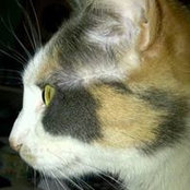 Summerlin Burnette's photo