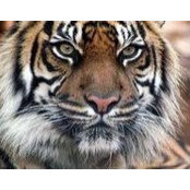 Elizabeth Worsham's photo