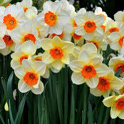 Sudheer Kumar's photo