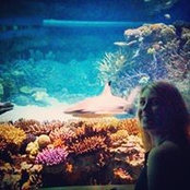 Foto di Emily Hash