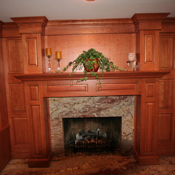 Orland Park Fireplace
