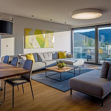 LARGE APARTMENT, VILLA VISTA, BRATISLAVA, SLOVAKIA