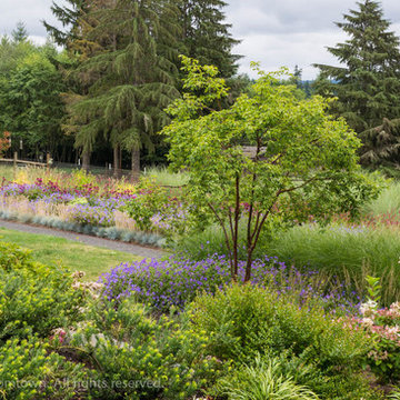 Contemporary Country Garden