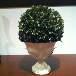 French Garden Boxwood Arrangement - Products