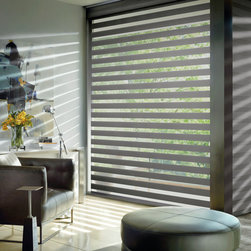 Transitional Grey Living Room Custom Window Roller Shades by Hunter Douglas - Roller Shades