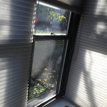 Honeycomb Shades