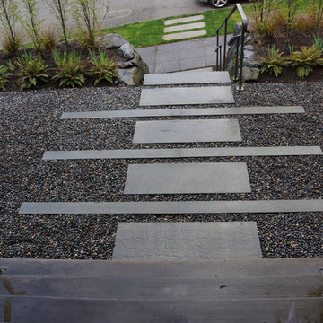Modern Entry Courtyard