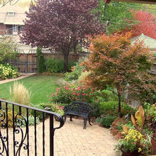 Fenced backyards