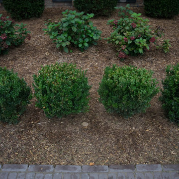 Front Yard Boxwood and Hardscape