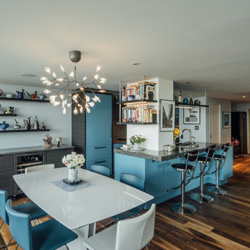 Hopkinson House Penthouse