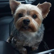 Sara Cooper's photo