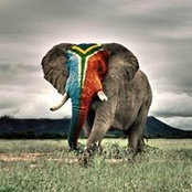 J Van Reenen's photo