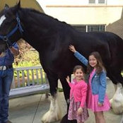 Kelly D'Auria's photo
