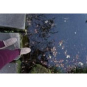 Lu Liu's photo