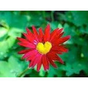 Bernadette Dutton's photo