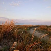 Petya Parvanova's photo