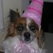 judith wallace's photo