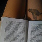 Stefania Dobre's photo