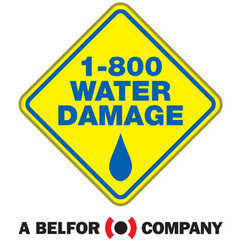 1-800 WATER DAMAGE of DelChester