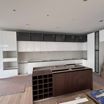 Custom Kitchen in Schaumburg