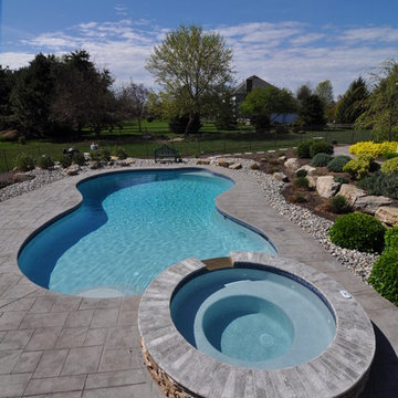 Freeform Salt Water Pool with Raised Spa