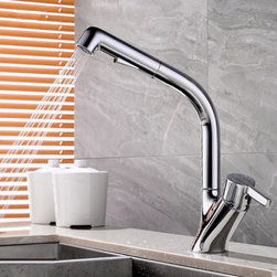 New Brass Chrome Brushed Two Type Outlet Pull Down Kitchen Sink Faucet FHP289 - Kitchen Faucets