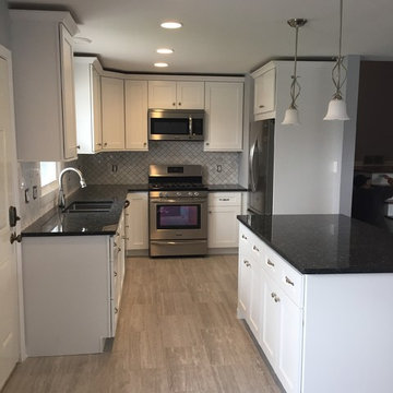 New Kitchen in Western Springs