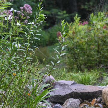 Pollinator Garden McLean, Va