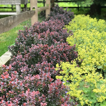 Garden Beds (Design, Install and/or Maintenance)