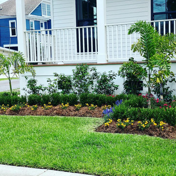 Landscape & Plant Designs